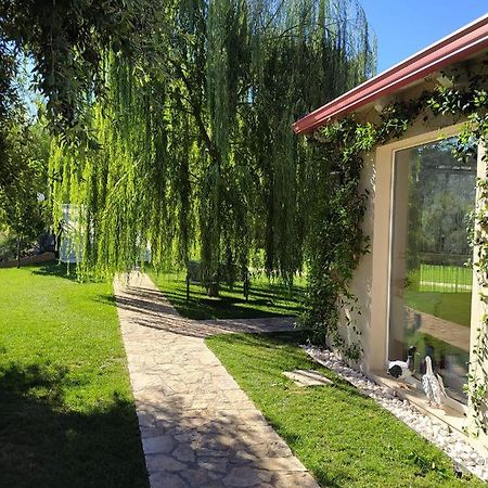 B&B Volver Peschici Εξωτερικό φωτογραφία