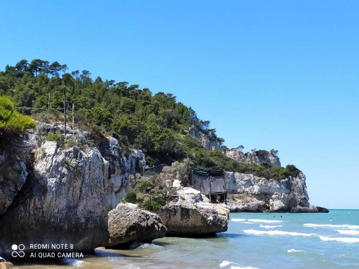 B&B Volver Peschici Εξωτερικό φωτογραφία