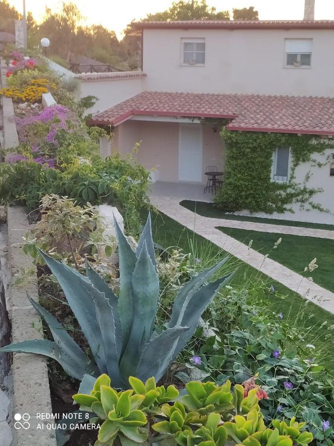 B&B Volver Peschici Εξωτερικό φωτογραφία