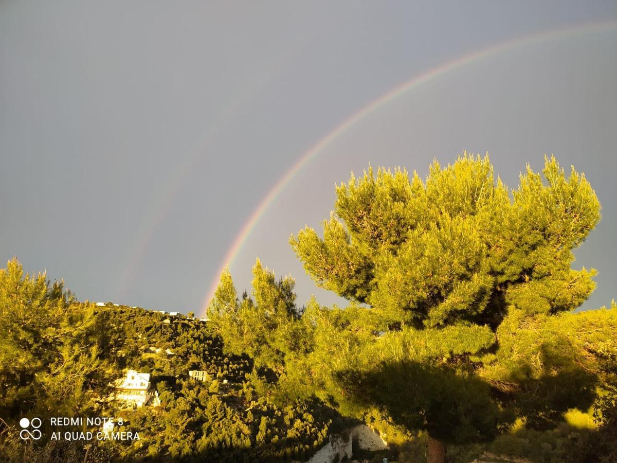 B&B Volver Peschici Εξωτερικό φωτογραφία