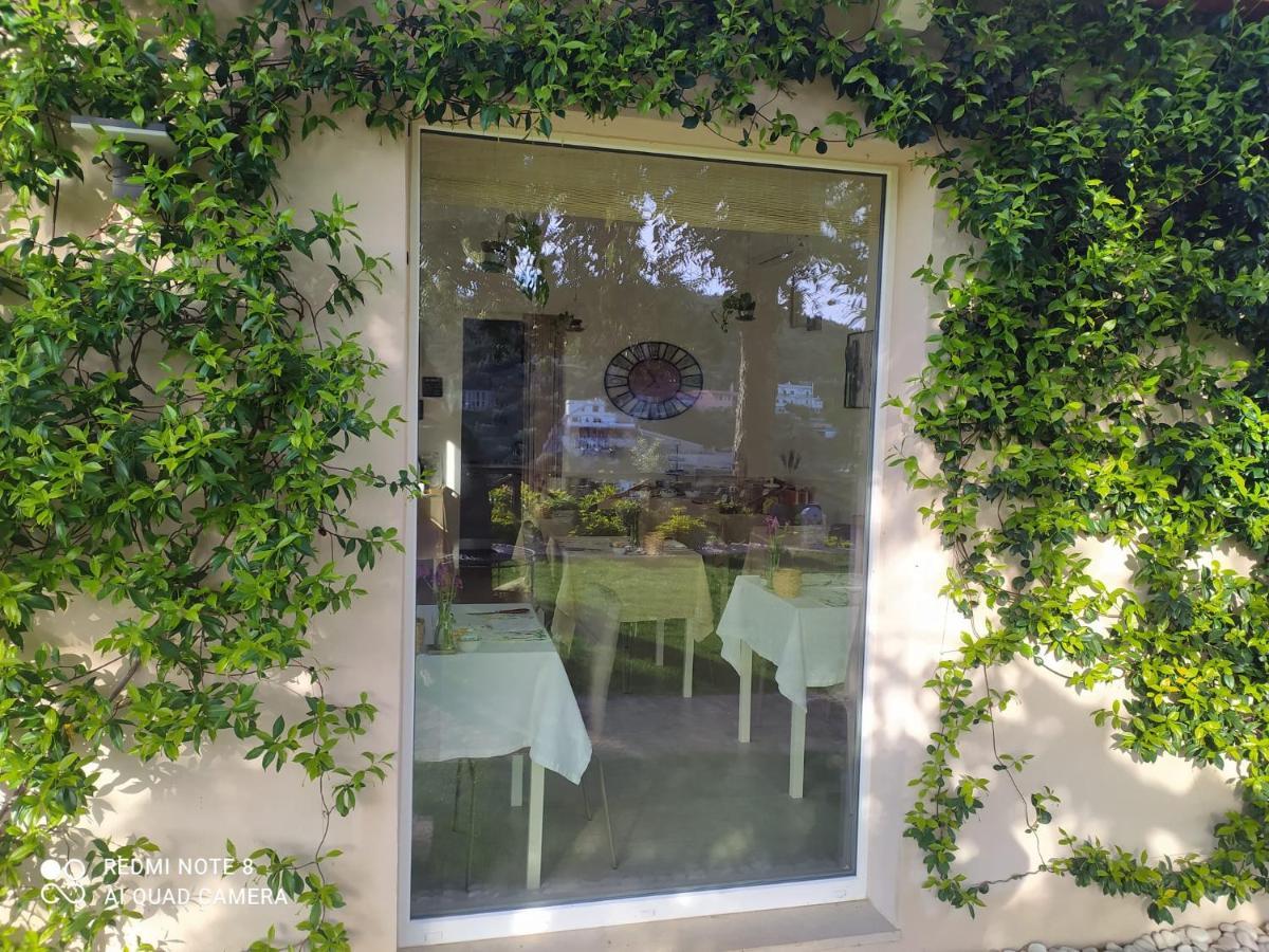 B&B Volver Peschici Εξωτερικό φωτογραφία